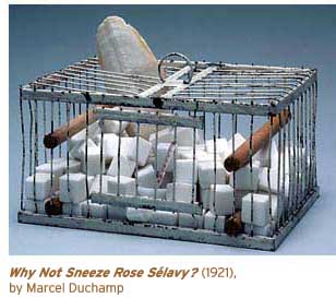 Why Not Sneeze Rose Selavy?