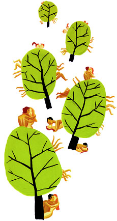 Illustration by Juliette Borda
