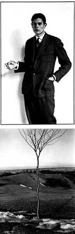 Abitur Candidate (1926), by August Sander; Small Tree (1929), by Albert Renger-Patzsch