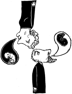 Illustration by Frances Jetter