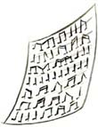 Illustration by Nina Frenkel