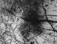 Ice on Europa