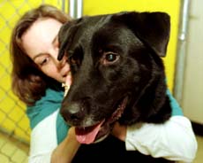 Prince with veterinarian