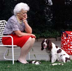 Top dog