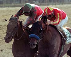 Nose ahead: Victory Gallop