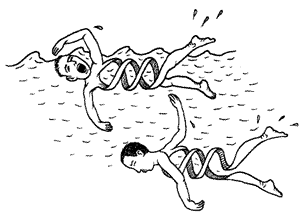 Illustration by Mark Alan Stamaty