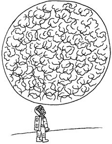 Illustration by Mark Alan Stamaty