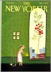 The New Yorker