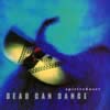Spiritchaser Album Cover