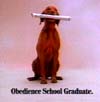 Clip from Valedictorian