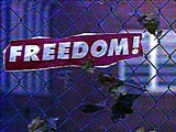 Freedom