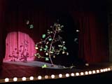 The plant takes the stage