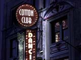 The Cotton Club
