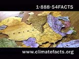 Contact info