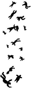 Illustration by Robert Neubecker