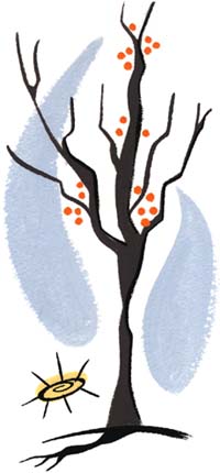 Illustration by Robin Zingone