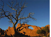 Photo ops are everywhere in scenic Arches National Park