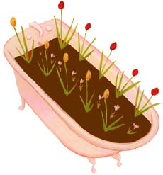 Illustration by Juliette Borda
