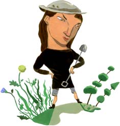 Illustration by Amanda Duffy