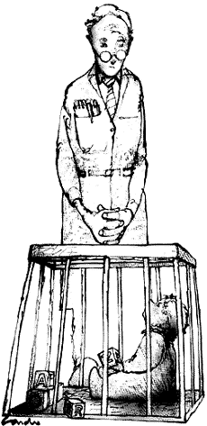 Illustration by Horacio Cardo