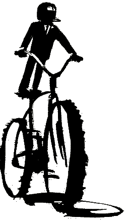 Illustration by Whiting Tennis