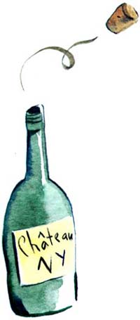 Illustration by Amanda Duffy