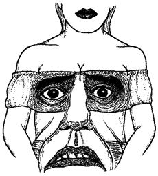 Illustration by Mark Alan Stamaty