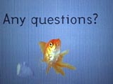 Any questions?