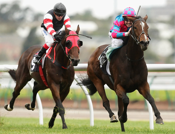 Jockeys.