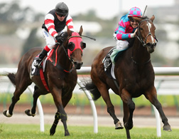Jockeys. Click image to expand.