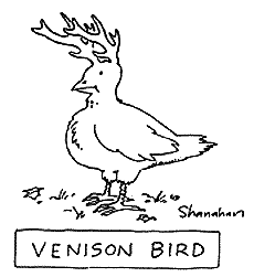 Illustration by Danny Shanahan