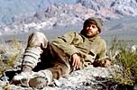 Pitt as Harrer in the film