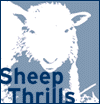 Sheep Thrills