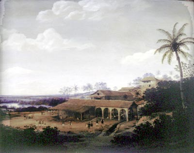 Sugar Plantation 