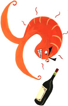 Illustration by Nina Frenkel