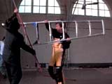 Ladder combat