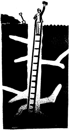 Illustration by Peter Kuper