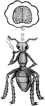 Illustration by Scott Cunningham