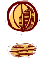 Illustration by William L. Brown