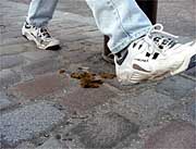 Stepping over a favorite Parisian social maneuvre