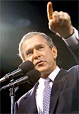 Bush whacks McCain