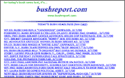 The Bush Report Web site