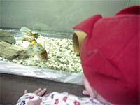Poisson, saved