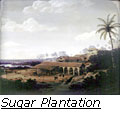 Click on image to view enlargement 