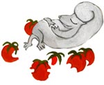 Illusttration by Nina Frenkel