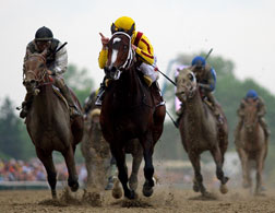 Preakness Stakes. Click image to expand.