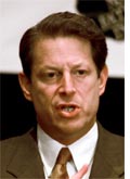 Gore's soft spot