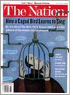 The Nation