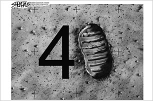 86/090720_TC.jpg