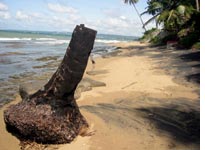 Our beach